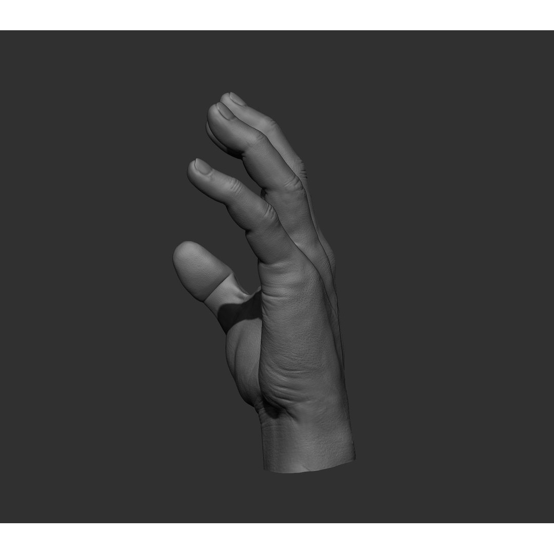 Realistic Male Hands 3D Model – High Poly Collection, FBX, OBJ - View 66