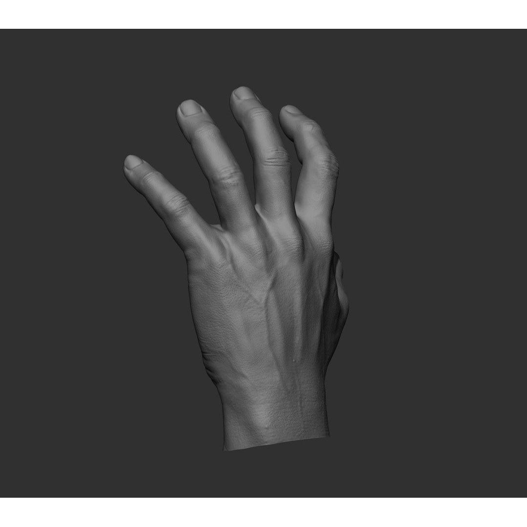 Realistic Male Hands 3D Model – High Poly Collection, FBX, OBJ - View 67