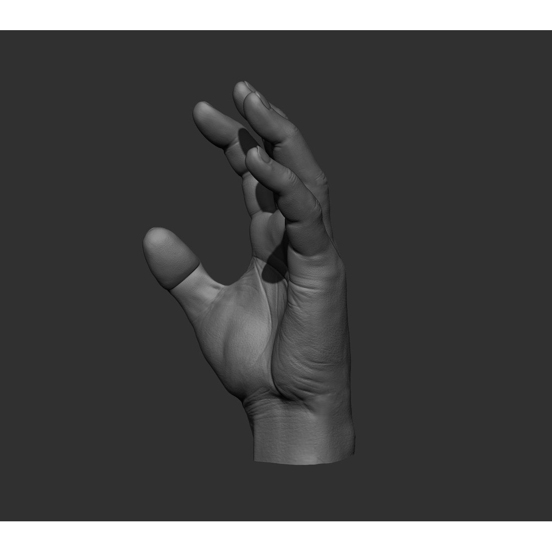 Realistic Male Hands 3D Model – High Poly Collection, FBX, OBJ - View 68