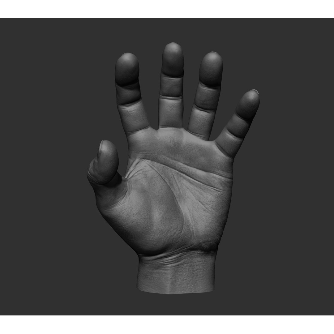 Realistic Male Hands 3D Model – High Poly Collection, FBX, OBJ - View 69