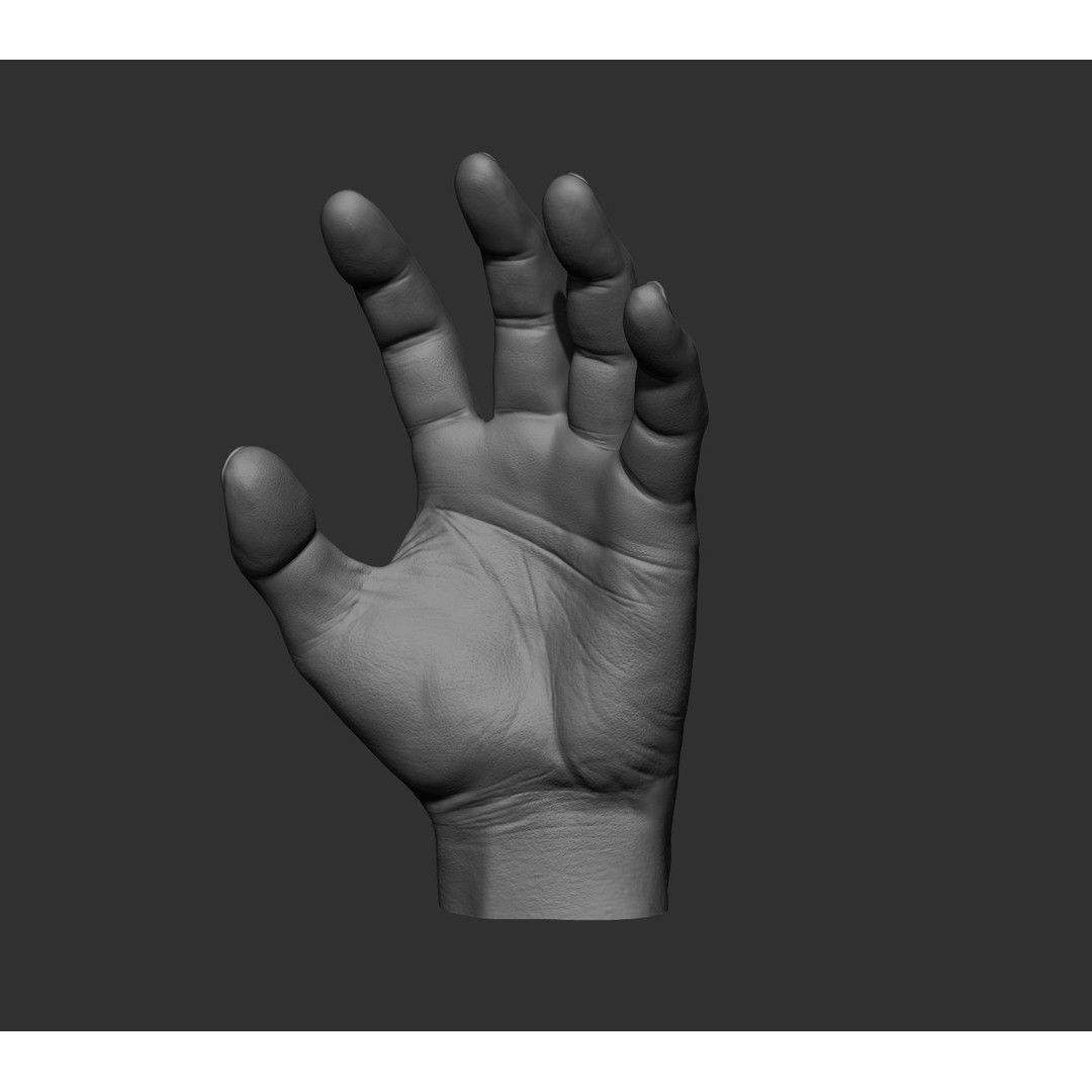 Realistic Male Hands 3D Model – High Poly Collection, FBX, OBJ - View 70
