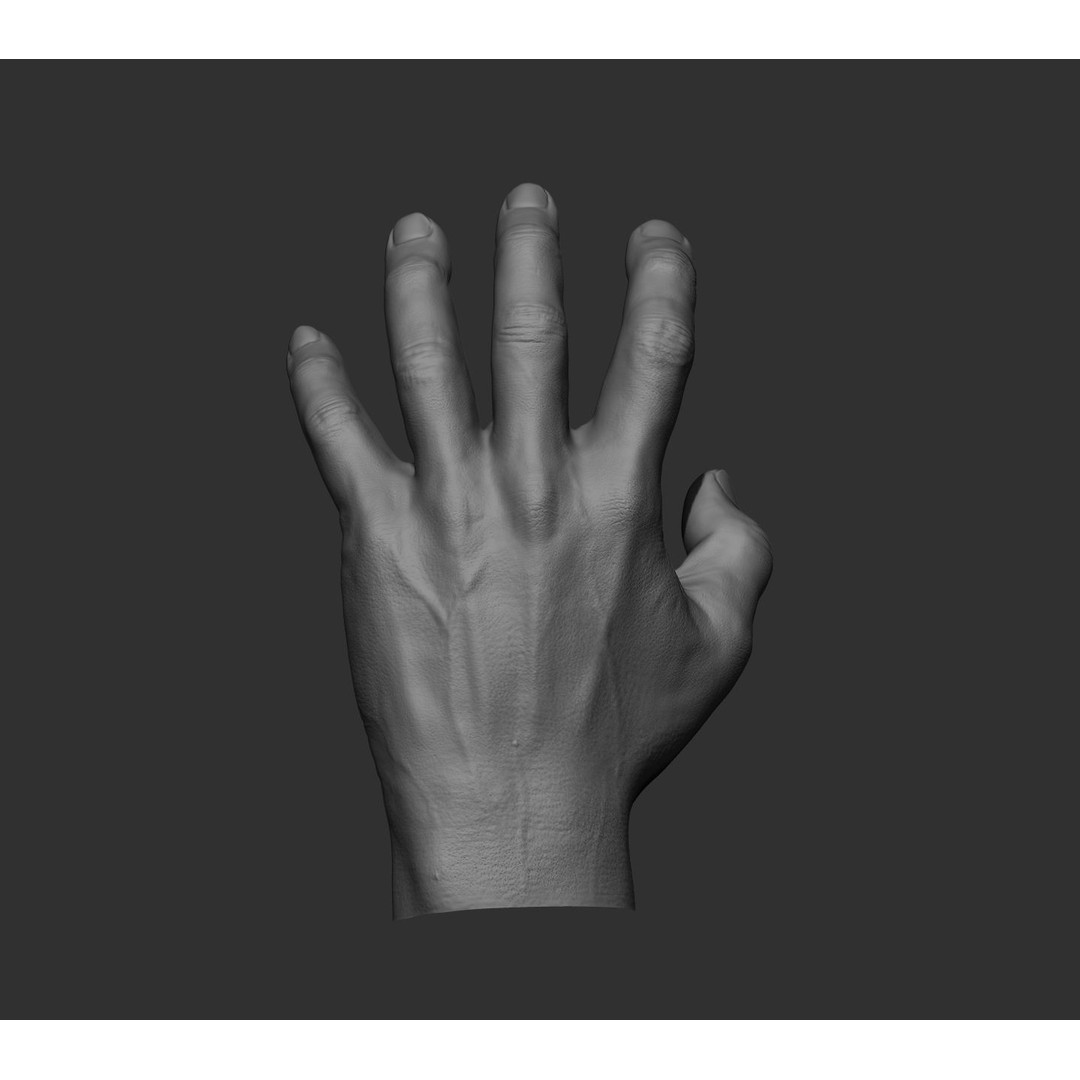 Realistic Male Hands 3D Model – High Poly Collection, FBX, OBJ - View 71