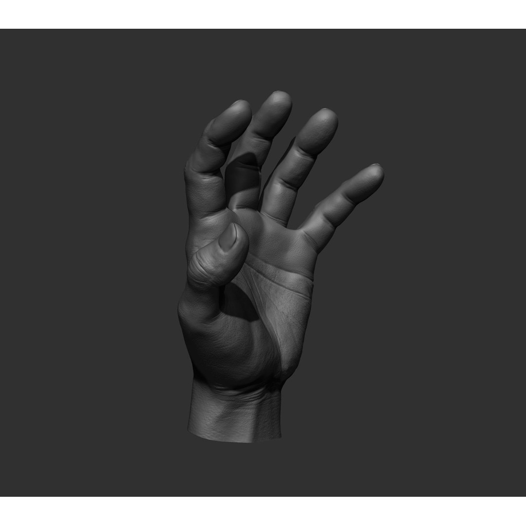 Realistic Male Hands 3D Model – High Poly Collection, FBX, OBJ - View 72