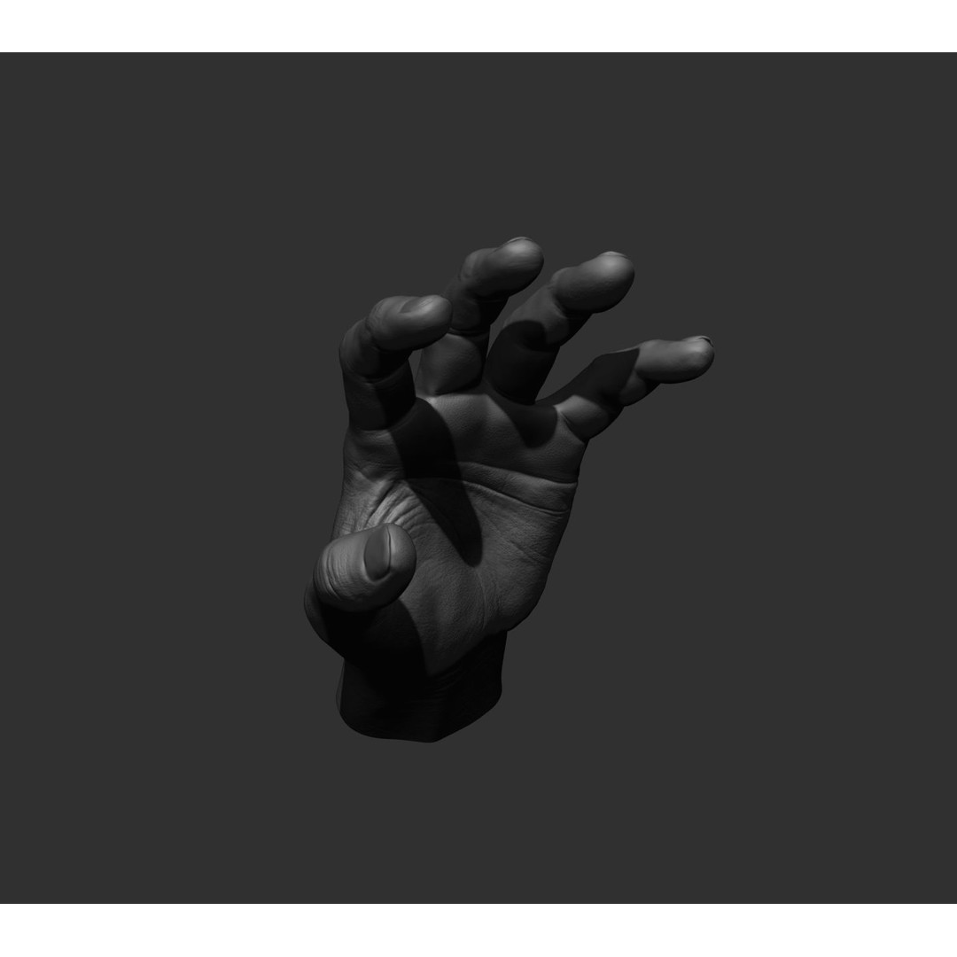Realistic Male Hands 3D Model – High Poly Collection, FBX, OBJ - View 73