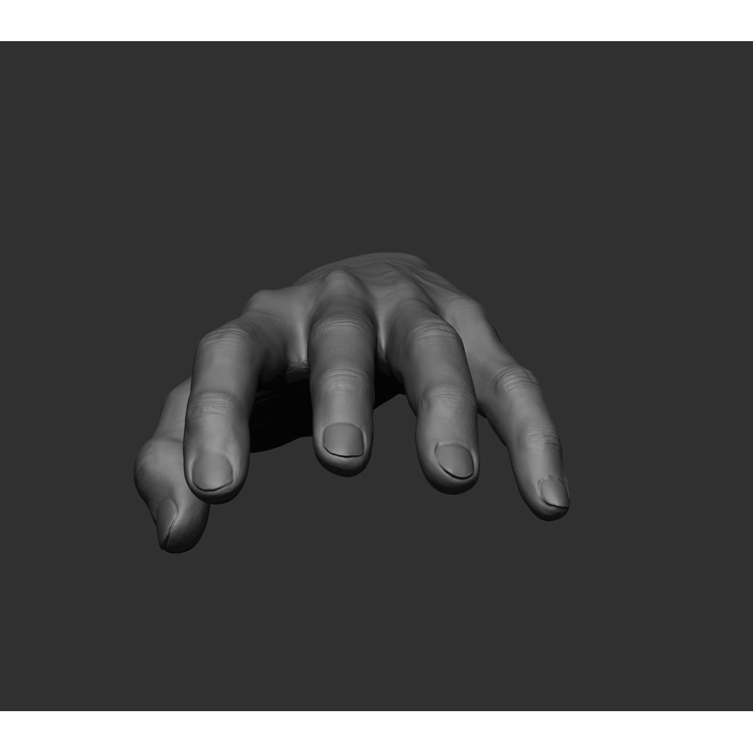 Realistic Male Hands 3D Model – High Poly Collection, FBX, OBJ - View 74