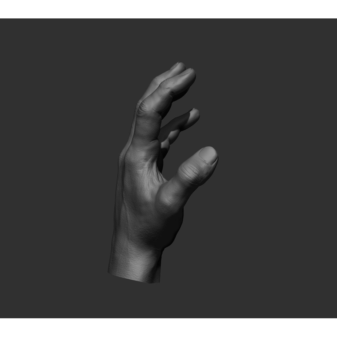 Realistic Male Hands 3D Model – High Poly Collection, FBX, OBJ - View 75