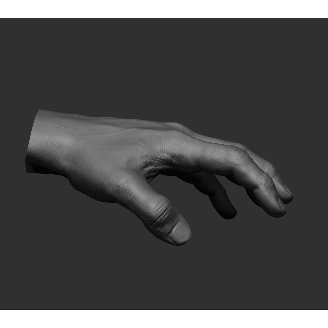 Realistic Male Hands 3D Model – High Poly Collection, FBX, OBJ - View 76