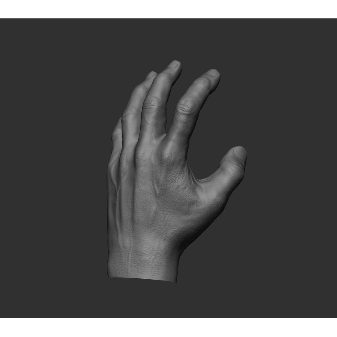 Realistic Male Hands 3D Model – High Poly Collection, FBX, OBJ - View 77