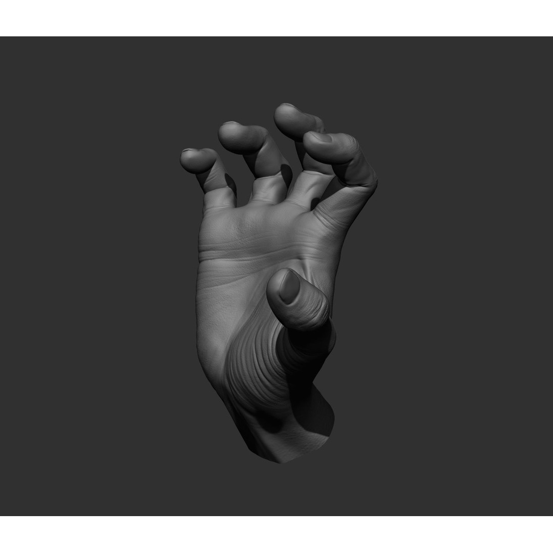 Realistic Male Hands 3D Model – High Poly Collection, FBX, OBJ - View 79
