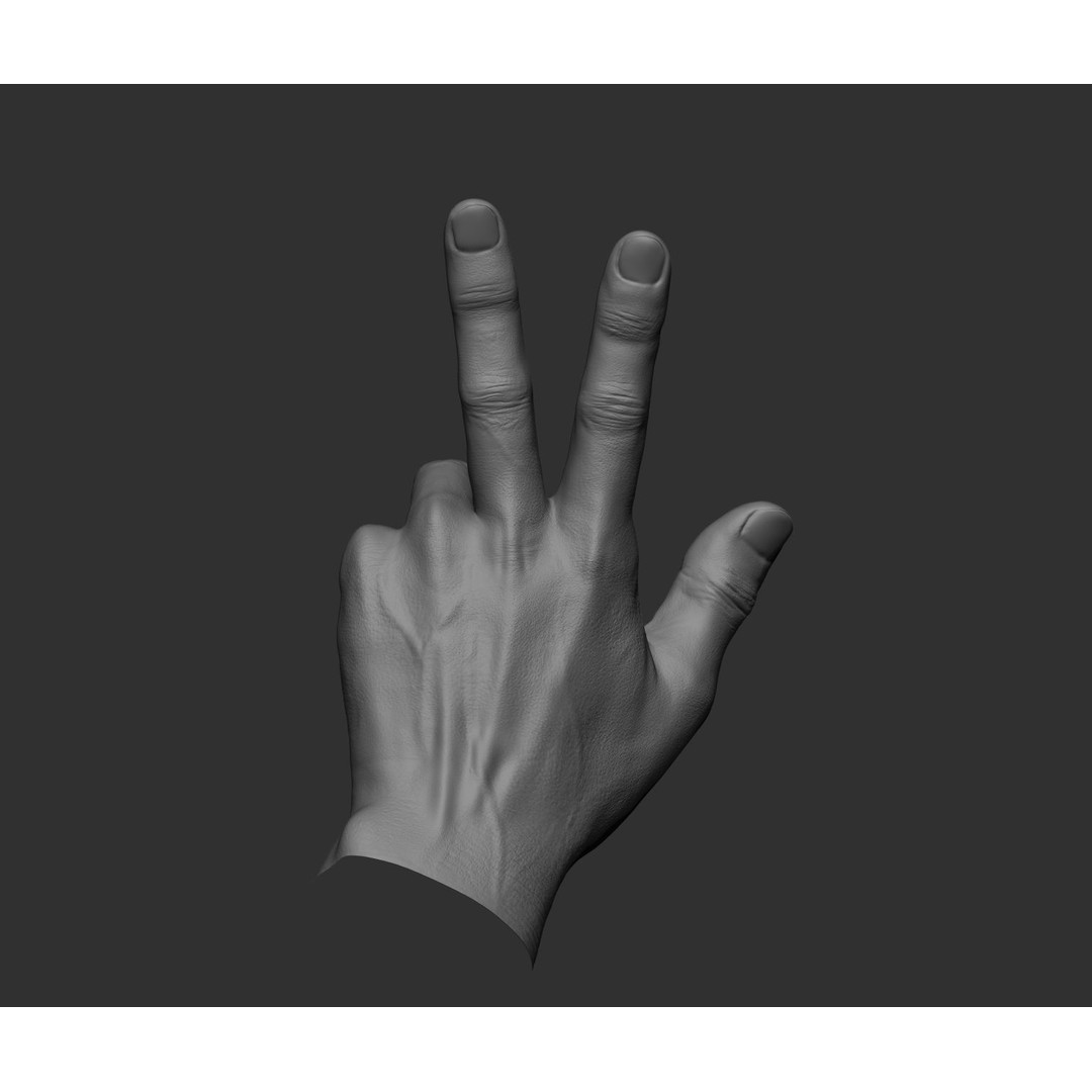 Realistic Male Hands 3D Model – High Poly Collection, FBX, OBJ - View 8