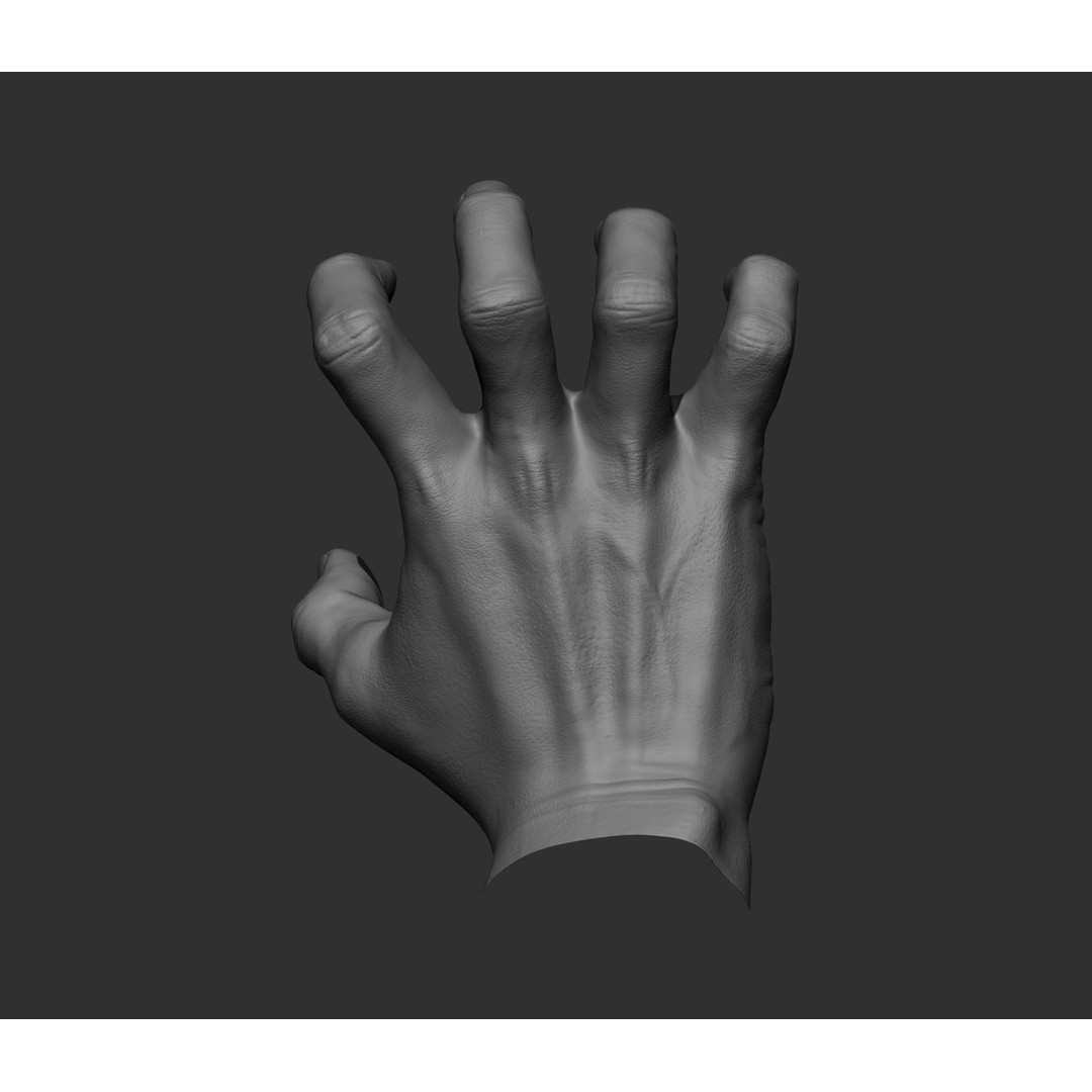 Realistic Male Hands 3D Model – High Poly Collection, FBX, OBJ - View 81