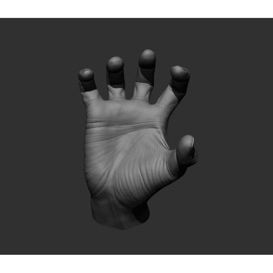 Realistic Male Hands 3D Model – High Poly Collection, FBX, OBJ - View 83