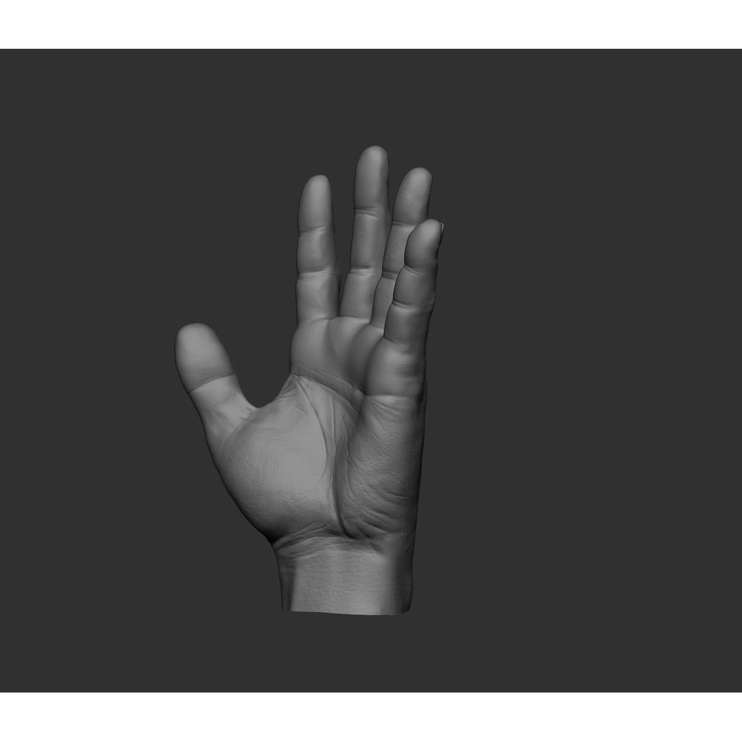 Realistic Male Hands 3D Model – High Poly Collection, FBX, OBJ - View 84