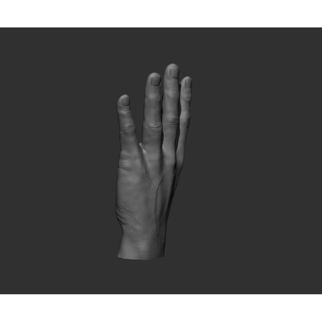Realistic Male Hands 3D Model – High Poly Collection, FBX, OBJ - View 85