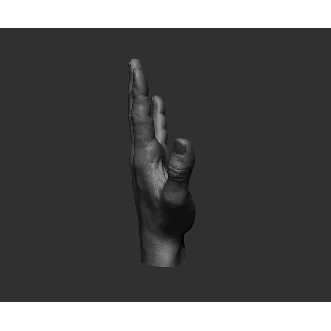 Realistic Male Hands 3D Model – High Poly Collection, FBX, OBJ - View 86