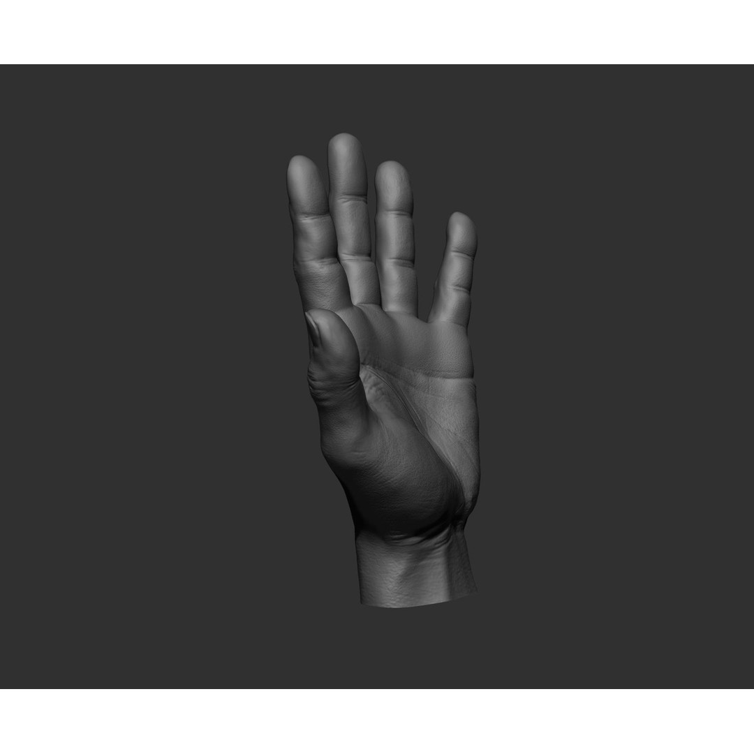 Realistic Male Hands 3D Model – High Poly Collection, FBX, OBJ - View 87