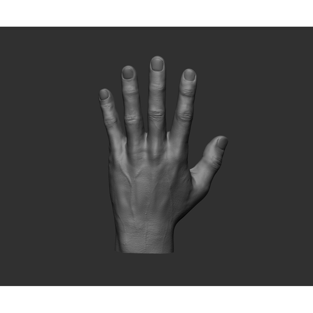 Realistic Male Hands 3D Model – High Poly Collection, FBX, OBJ - View 88
