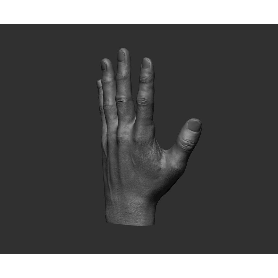Realistic Male Hands 3D Model – High Poly Collection, FBX, OBJ - View 89