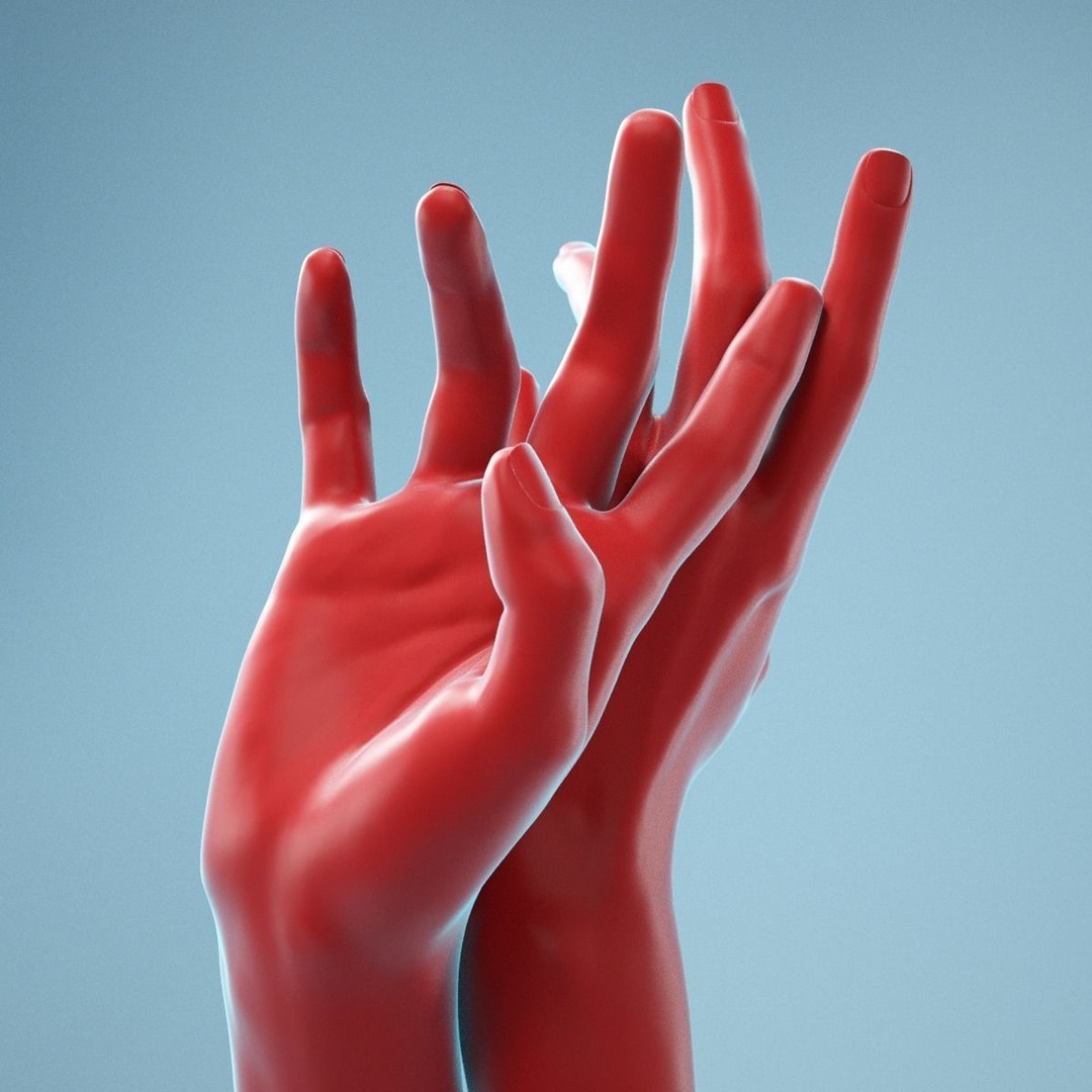 Realistic Hand 3D Model – High Poly Anatomy Scan, FBX, OBJ - View 10