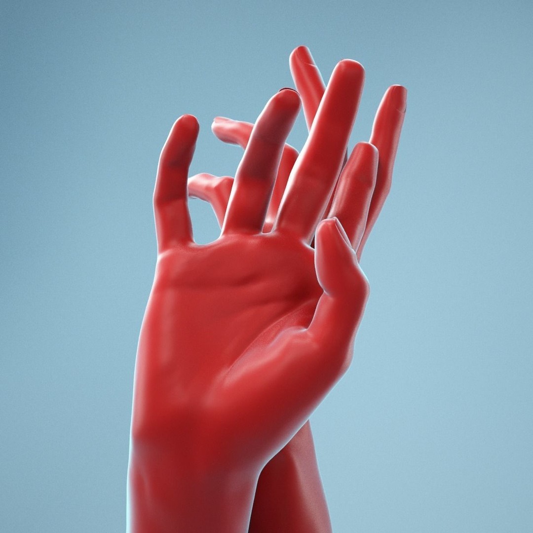 Realistic Hand 3D Model – High Poly Anatomy Scan, FBX, OBJ - View 11