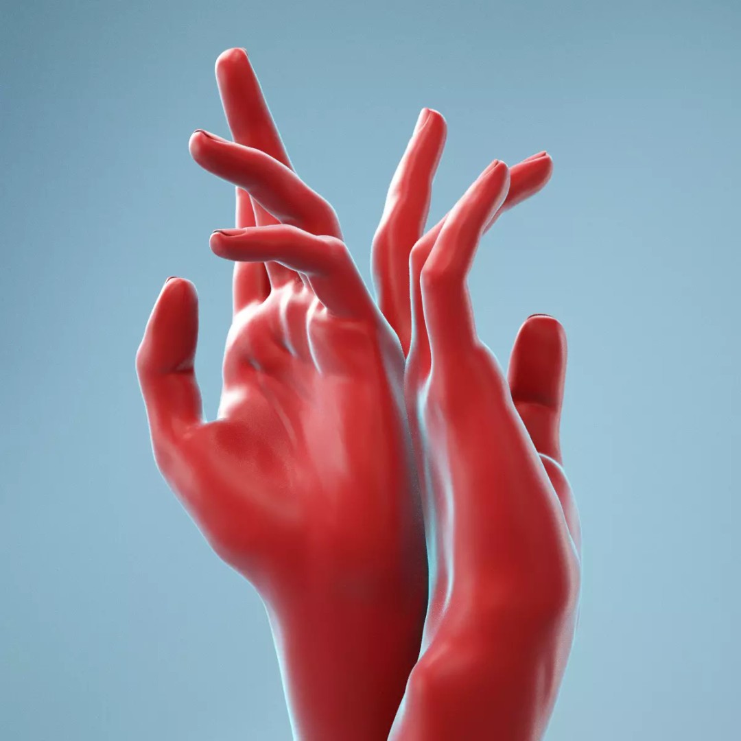 Realistic Hand 3D Model – High Poly Anatomy Scan, FBX, OBJ - View 2