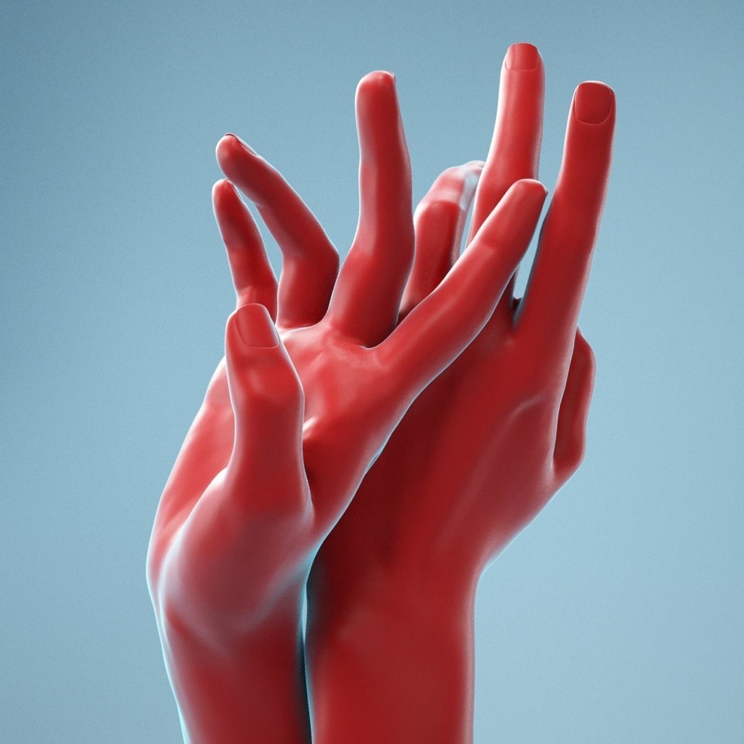 Realistic Hand 3D Model – High Poly Anatomy Scan, FBX, OBJ - View 9