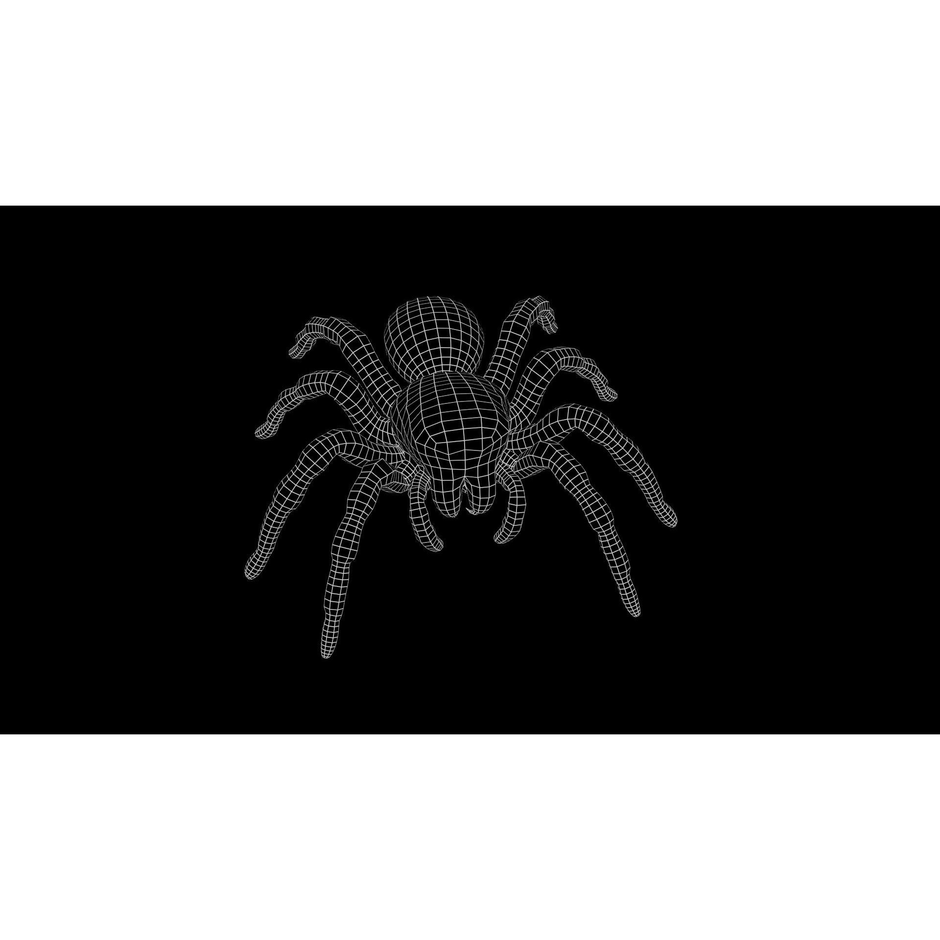 Jumping Spider - Low-Poly Game-Ready 3D Model - View 13