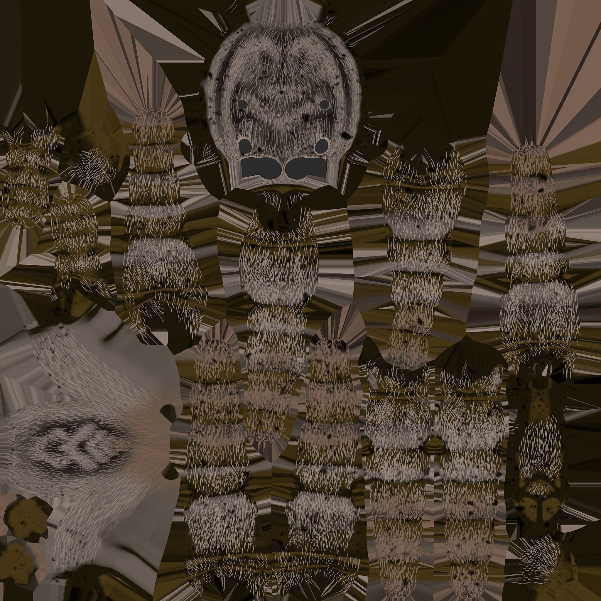 Jumping Spider - Low-Poly Game-Ready 3D Model - View 15