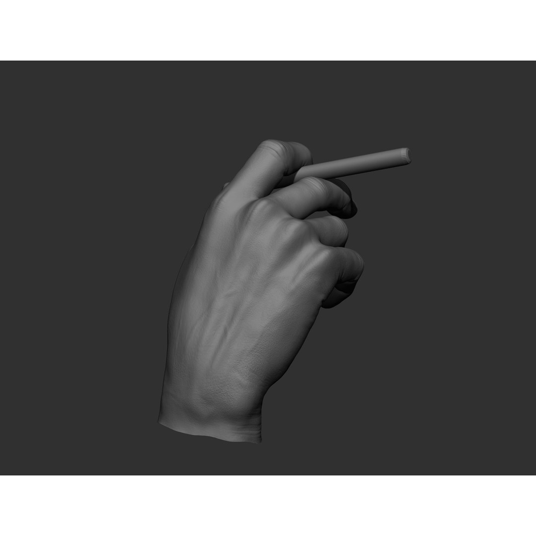 Realistic Male Hands 3D Model – High Poly Collection, FBX, OBJ - View 29