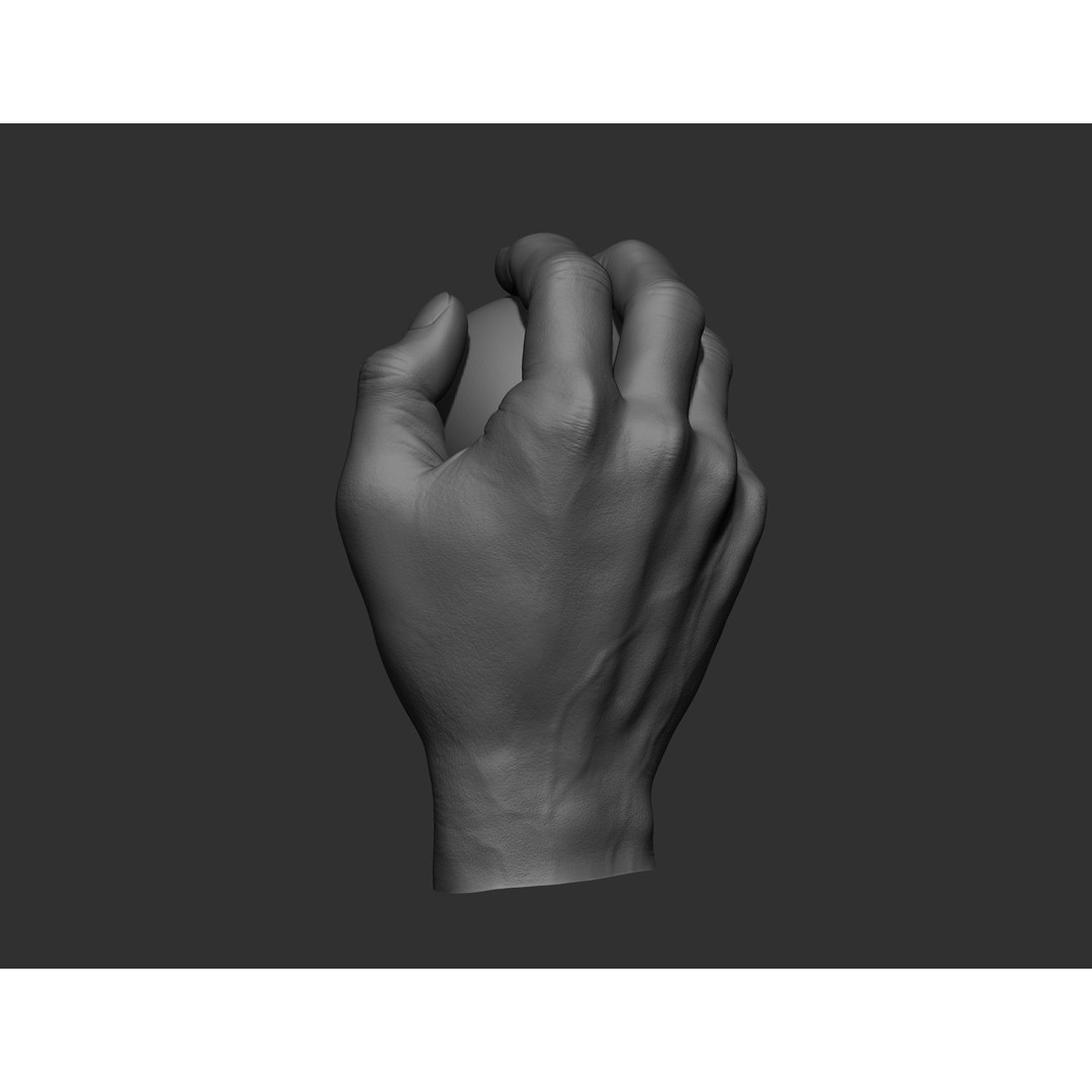 Realistic Male Hands 3D Model – High Poly Collection, FBX, OBJ - View 34