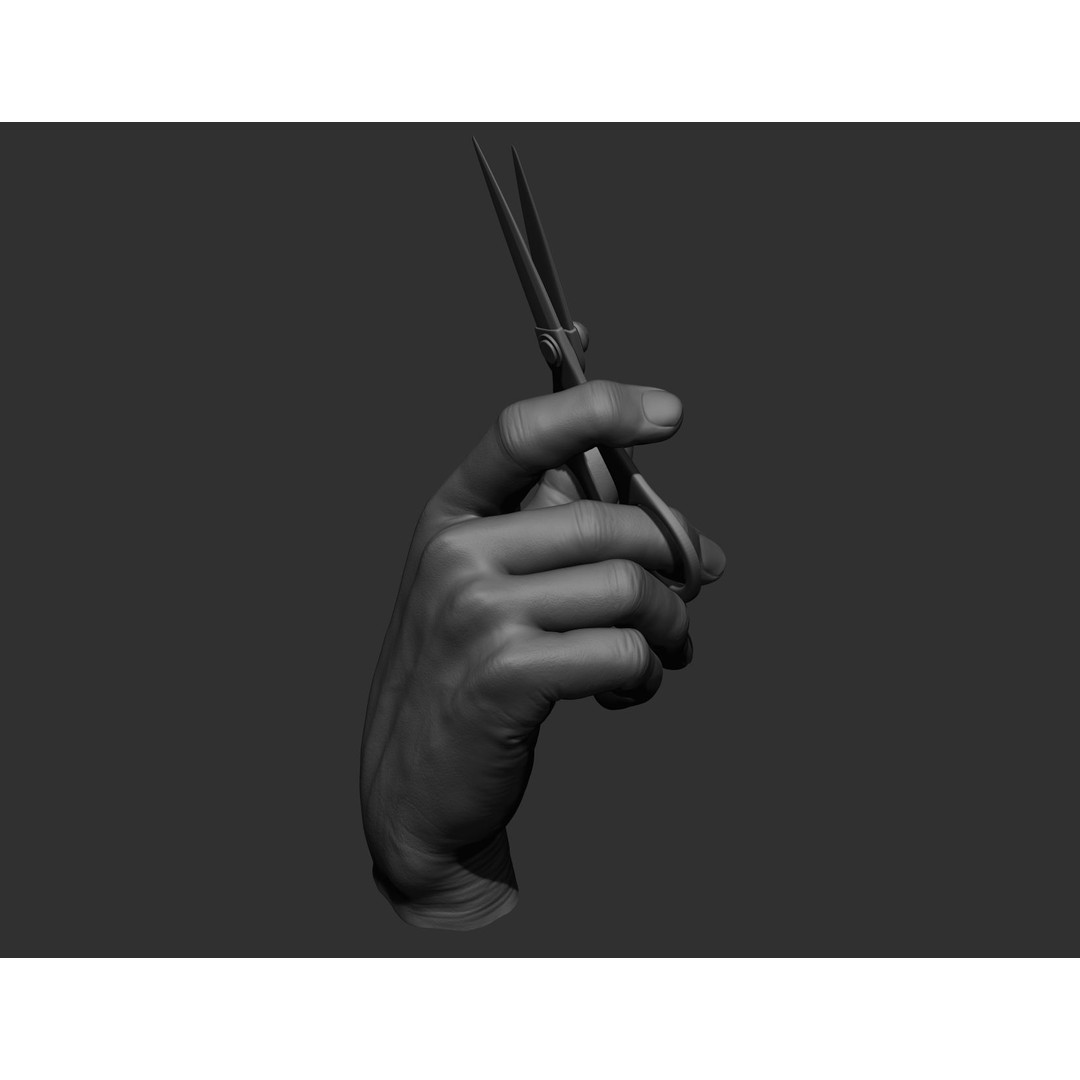 Realistic Male Hands 3D Model – High Poly Collection, FBX, OBJ - View 62