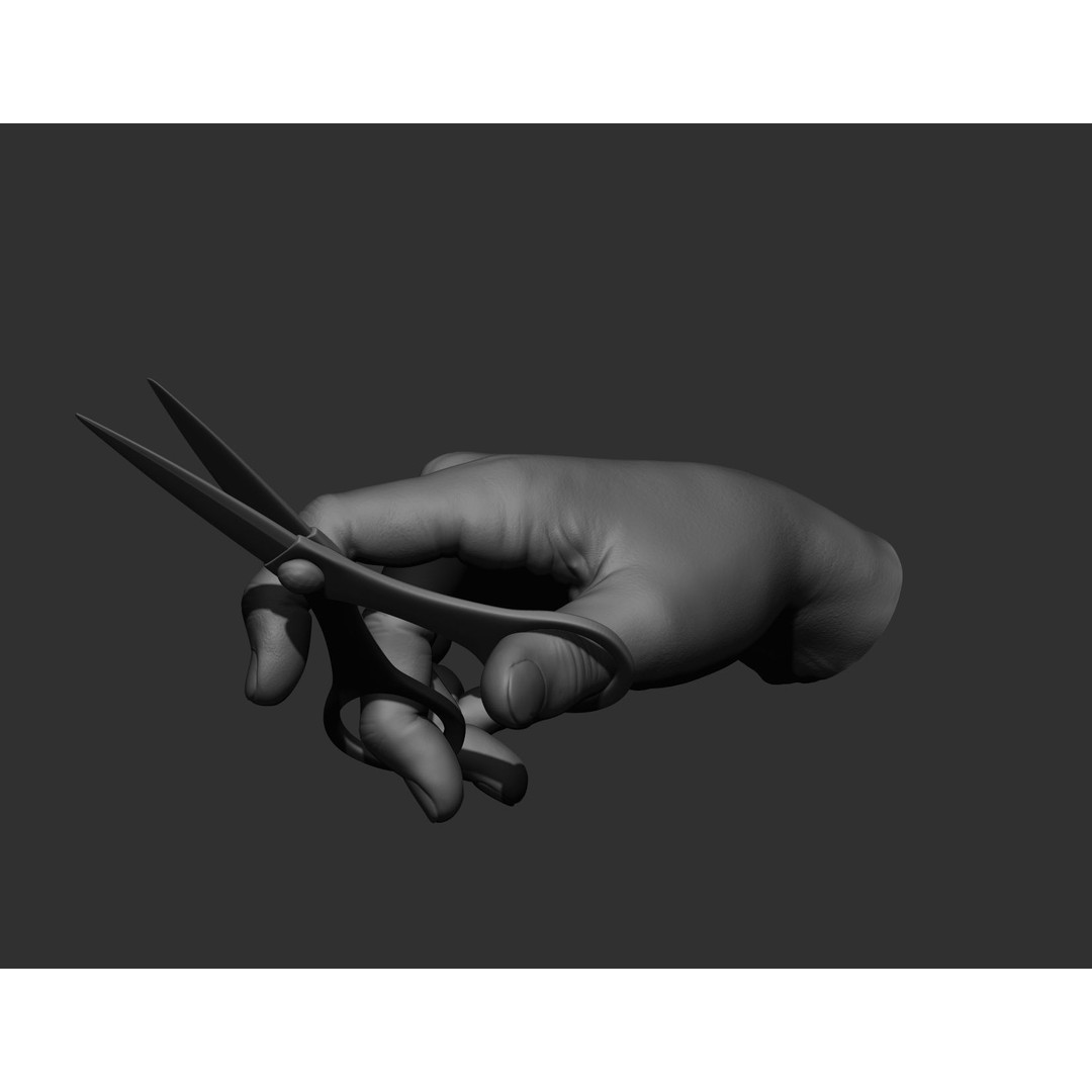 Realistic Male Hands 3D Model – High Poly Collection, FBX, OBJ - View 63