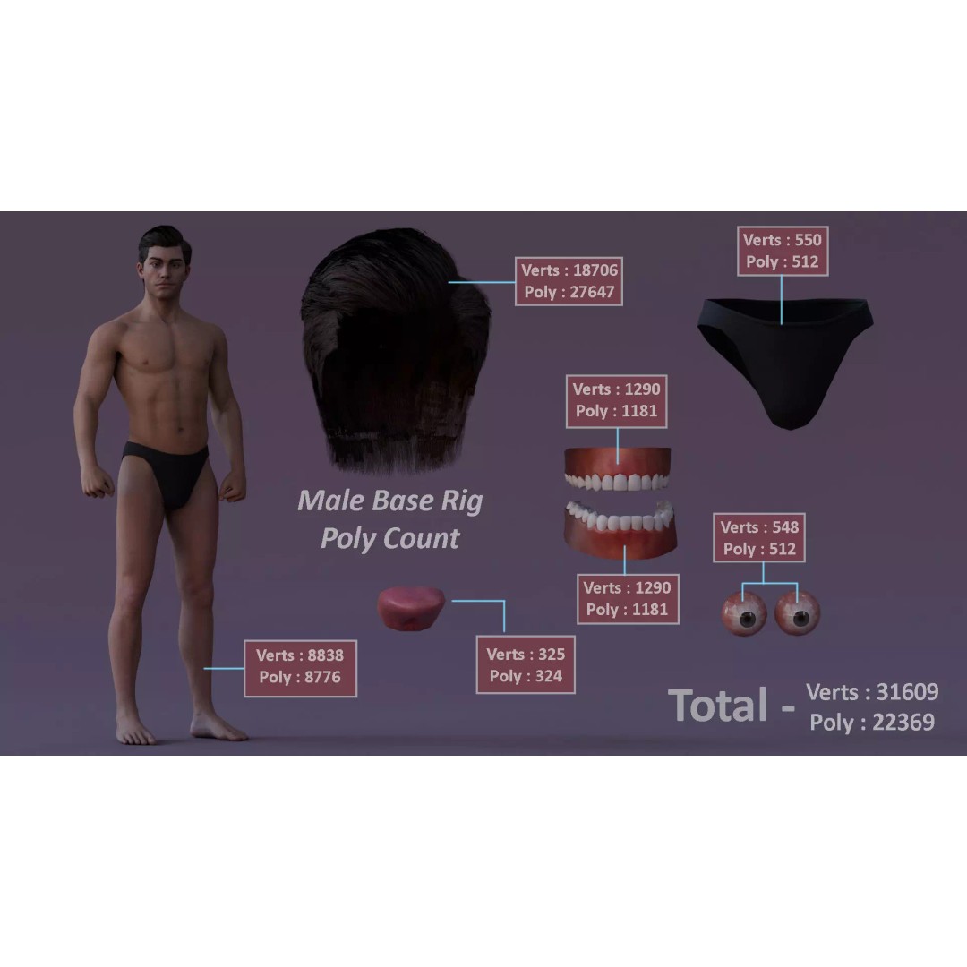 Male Female Base Character 3D Model – Low Poly Rigged Asset, FBX & Blender - View 20