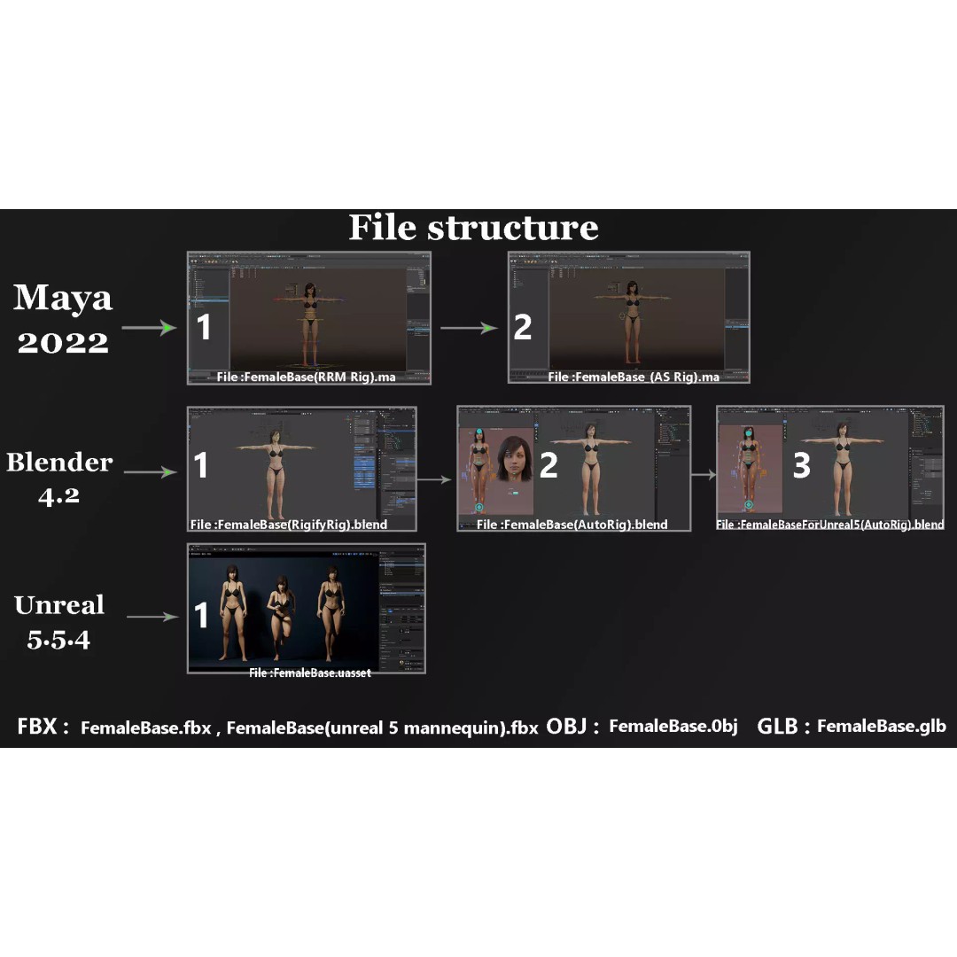 Male Female Base Character 3D Model – Low Poly Rigged Asset, FBX & Blender - View 29