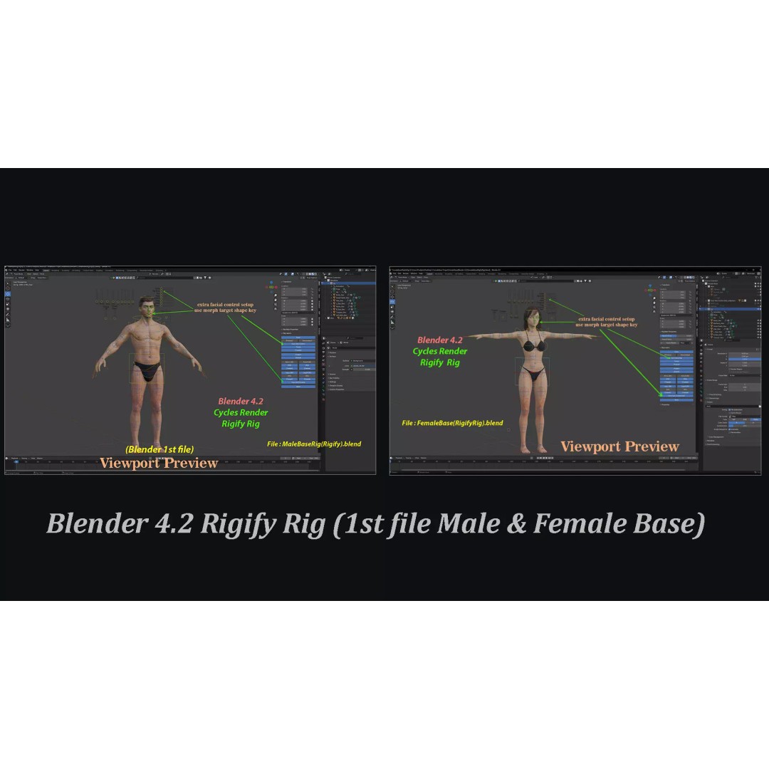 Male Female Base Character 3D Model – Low Poly Rigged Asset, FBX & Blender - View 31