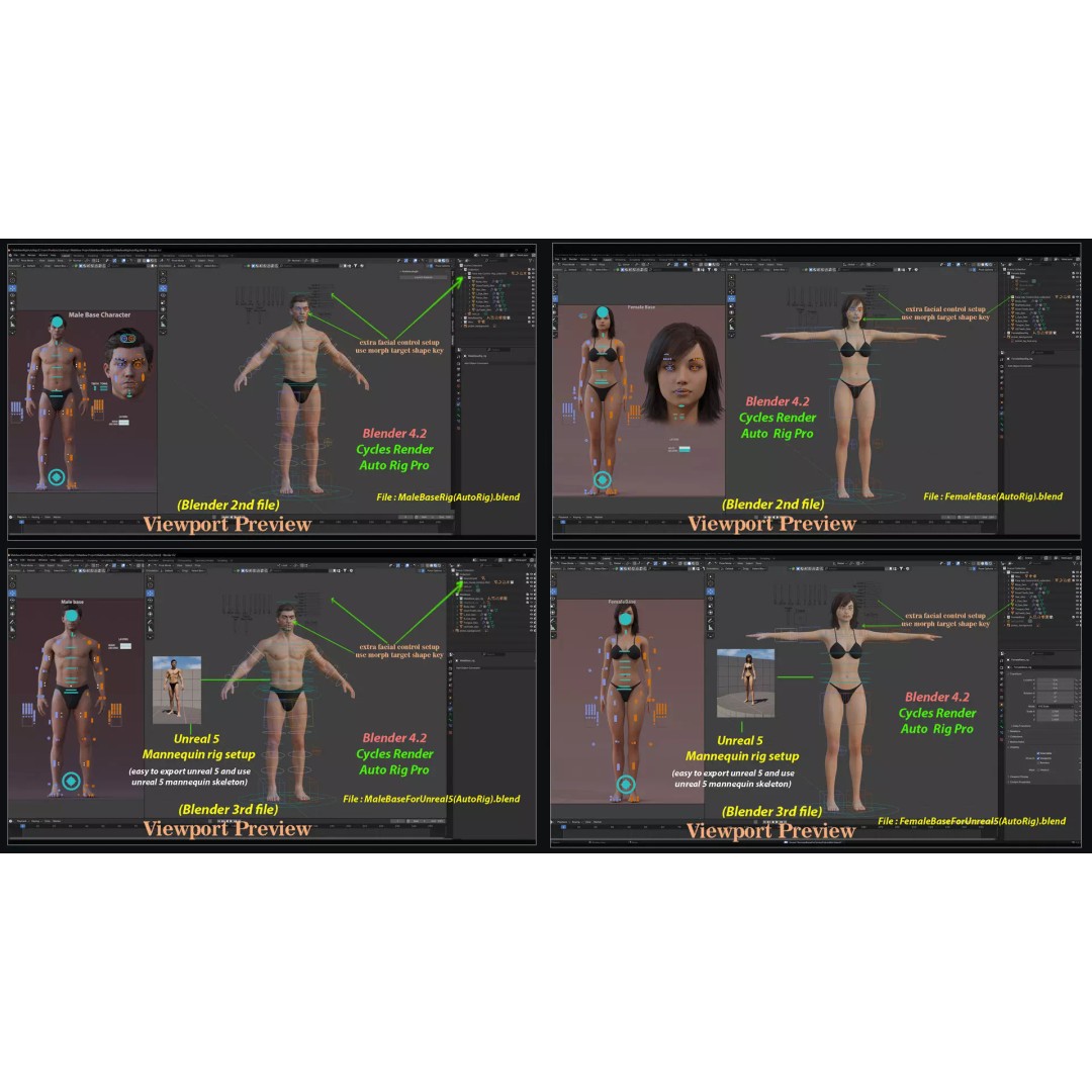 Male Female Base Character 3D Model – Low Poly Rigged Asset, FBX & Blender - View 32