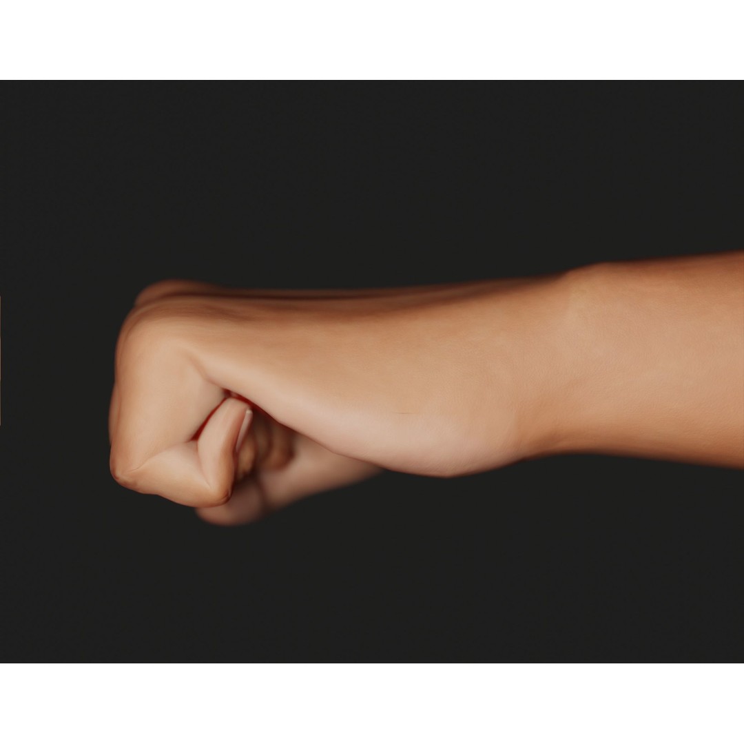 Female Left Hand 3D Model – Rigged Low-Poly Asset, Blender, FBX, OBJ - View 11