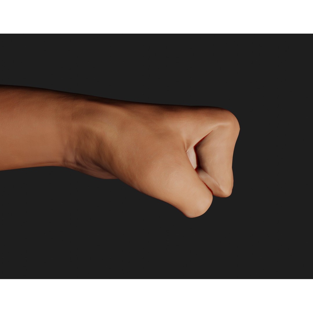 Female Left Hand 3D Model – Rigged Low-Poly Asset, Blender, FBX, OBJ - View 12