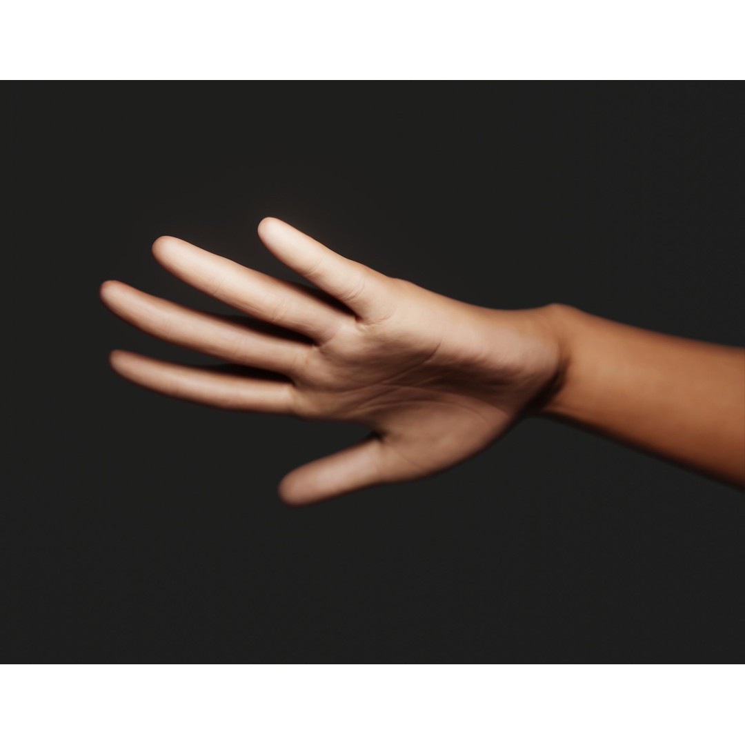 Female Left Hand 3D Model – Rigged Low-Poly Asset, Blender, FBX, OBJ - View 18
