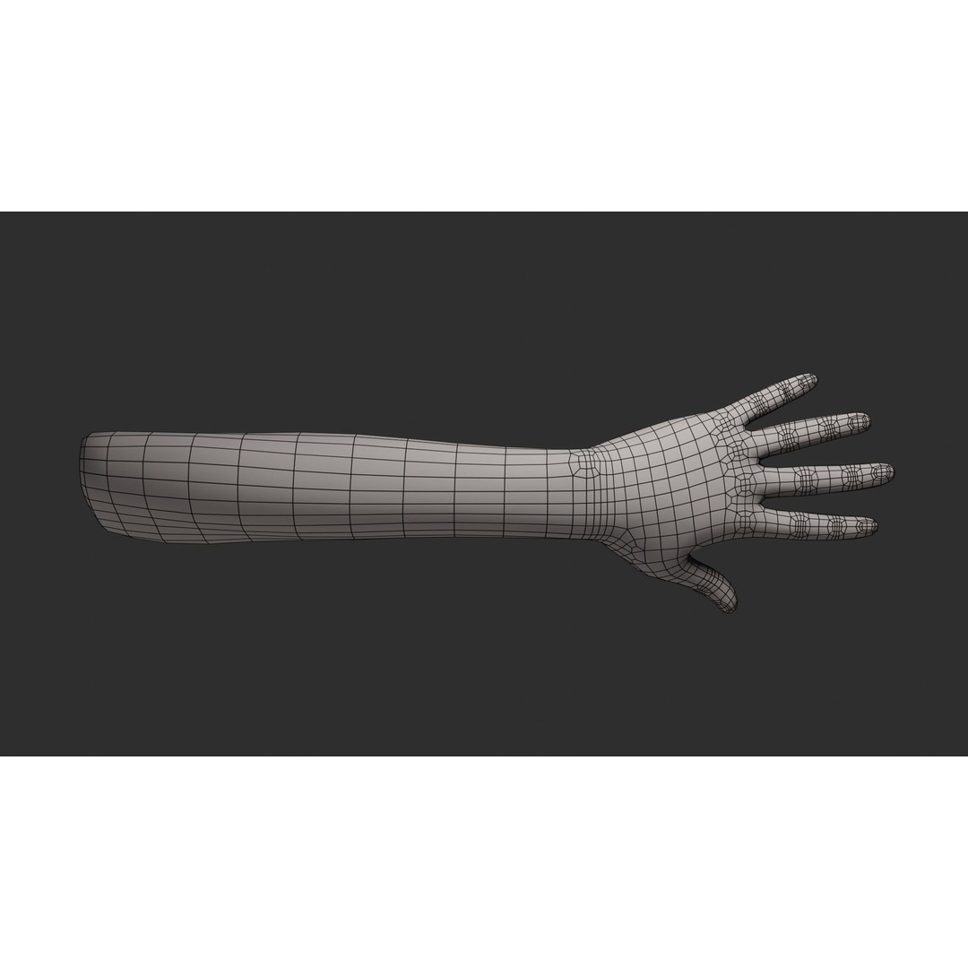 Female Left Hand 3D Model – Rigged Low-Poly Asset, Blender, FBX, OBJ - View 19