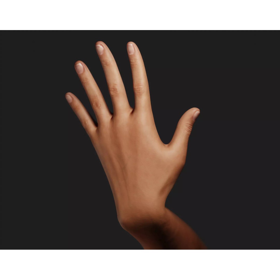 Female Left Hand 3D Model – Rigged Low-Poly Asset, Blender, FBX, OBJ - View 2