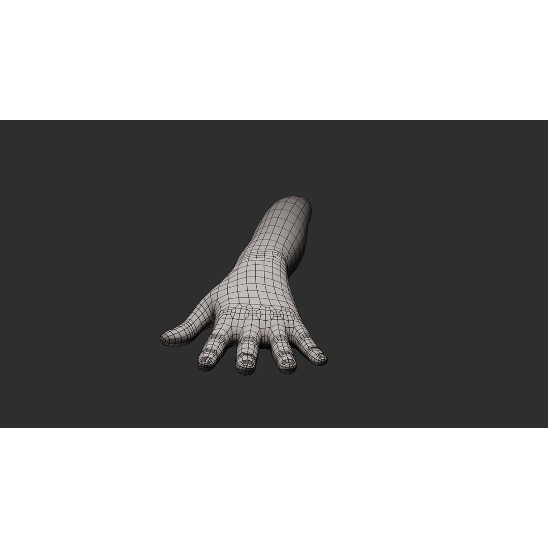 Female Left Hand 3D Model – Rigged Low-Poly Asset, Blender, FBX, OBJ - View 21