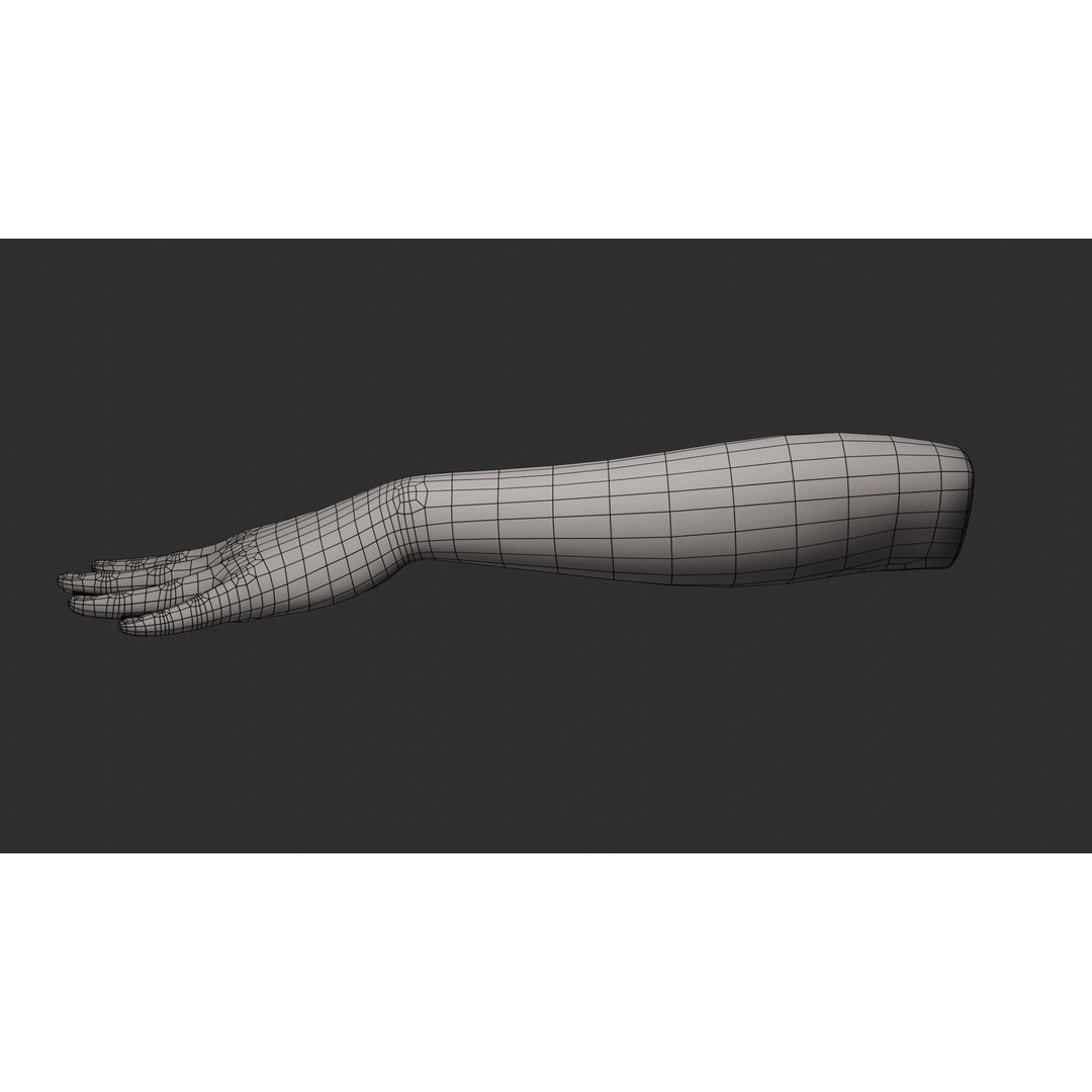 Female Left Hand 3D Model – Rigged Low-Poly Asset, Blender, FBX, OBJ - View 22