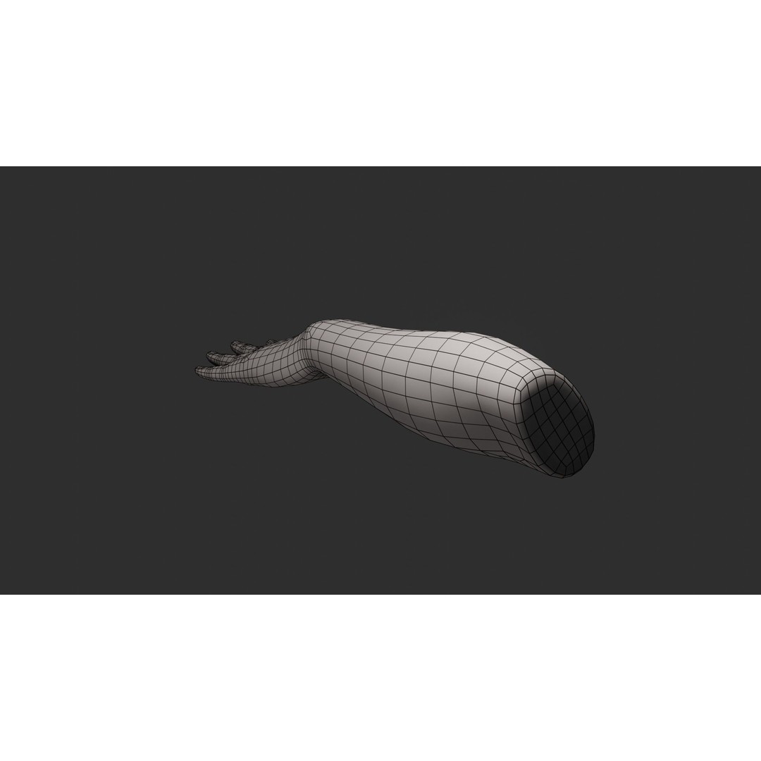 Female Left Hand 3D Model – Rigged Low-Poly Asset, Blender, FBX, OBJ - View 23