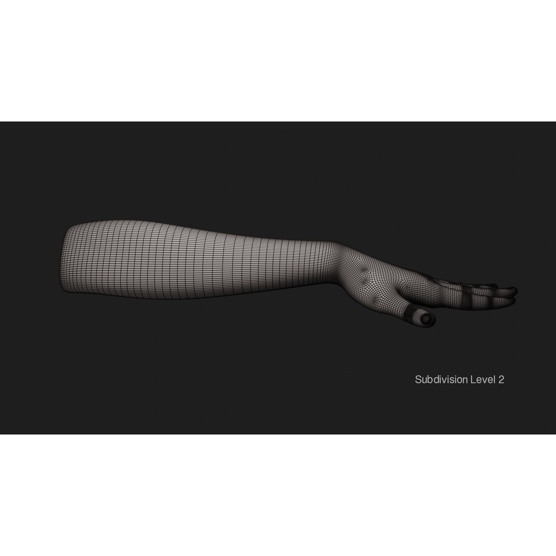 Female Left Hand 3D Model – Rigged Low-Poly Asset, Blender, FBX, OBJ - View 27
