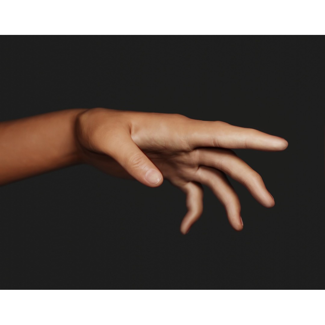 Female Left Hand 3D Model – Rigged Low-Poly Asset, Blender, FBX, OBJ - View 3