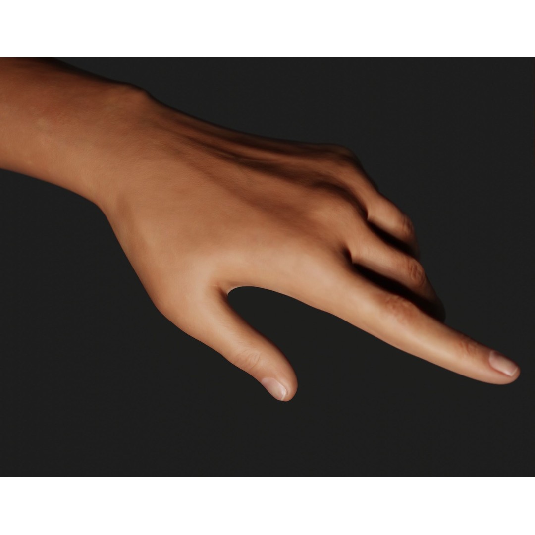 Female Left Hand 3D Model – Rigged Low-Poly Asset, Blender, FBX, OBJ - View 4