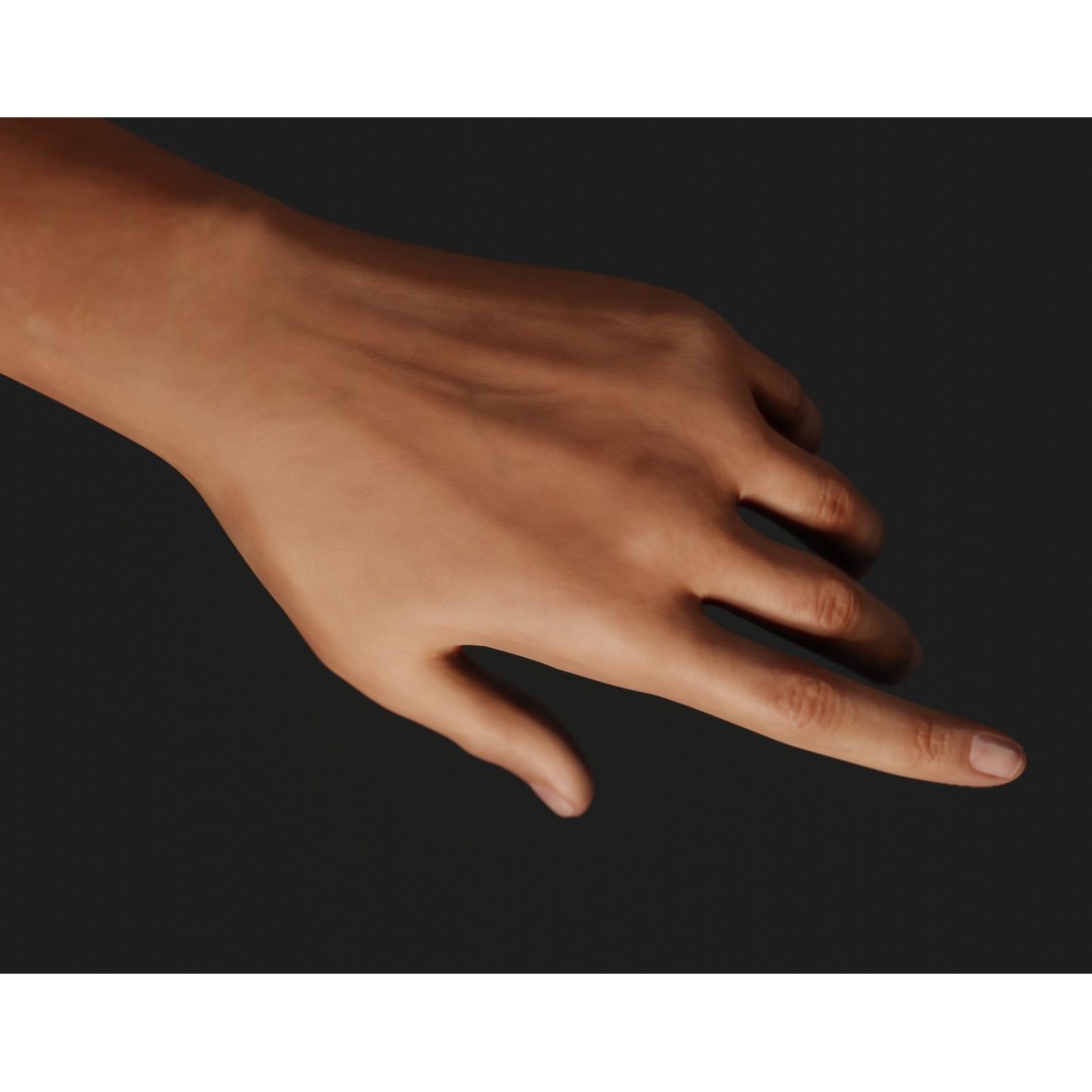 Female Left Hand 3D Model – Rigged Low-Poly Asset, Blender, FBX, OBJ - View 5