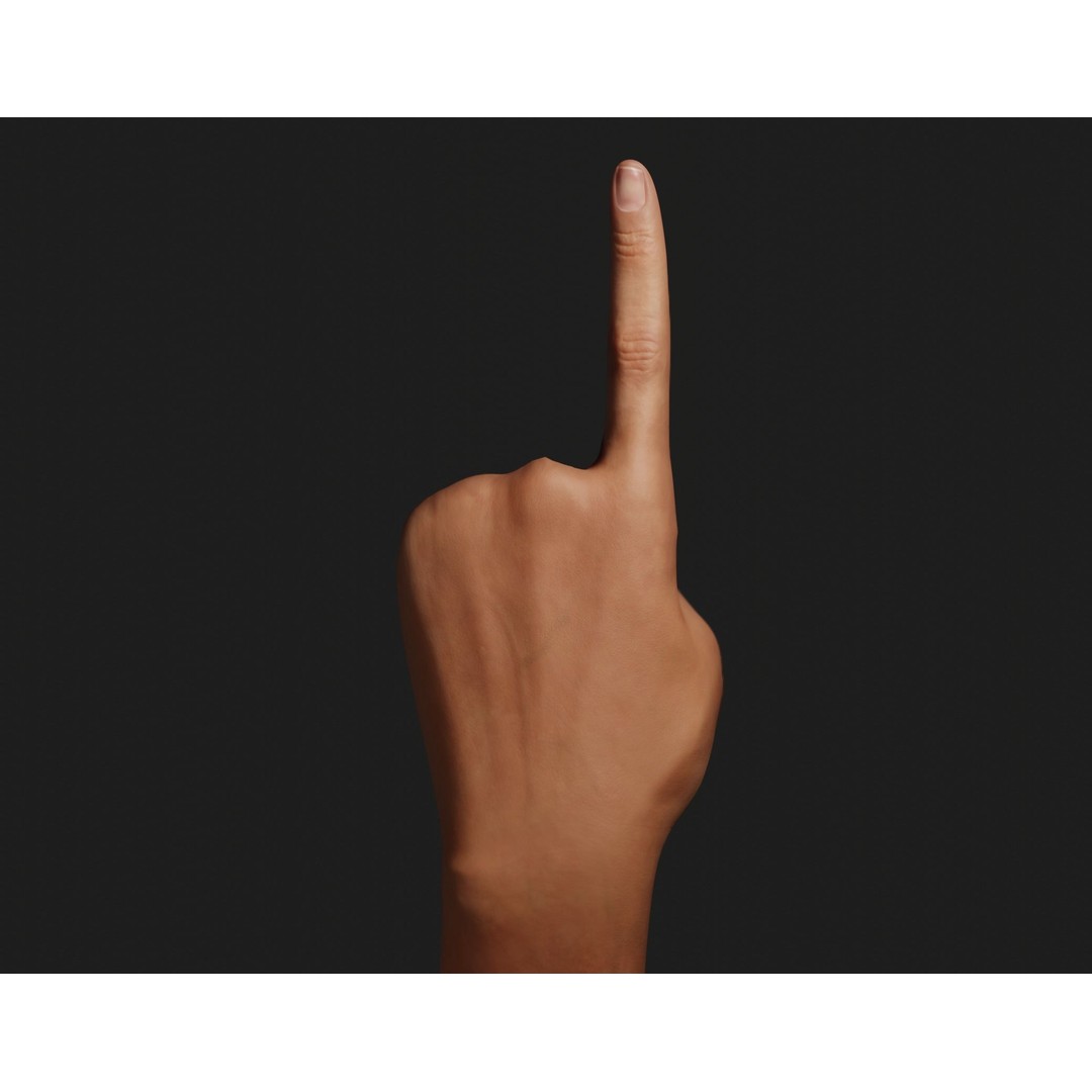 Female Left Hand 3D Model – Rigged Low-Poly Asset, Blender, FBX, OBJ - View 7