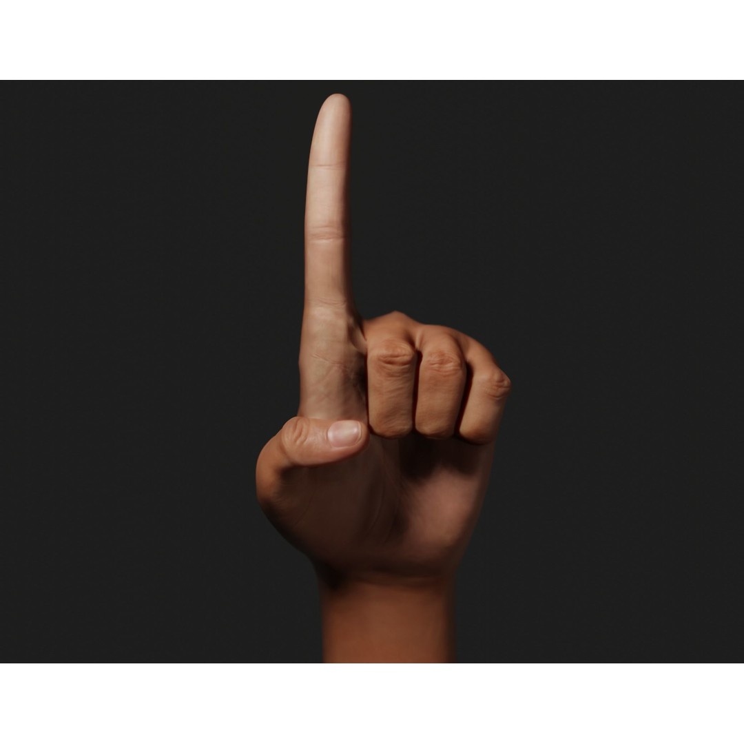 Female Left Hand 3D Model – Rigged Low-Poly Asset, Blender, FBX, OBJ - View 8